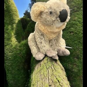 Koala Bear Plush